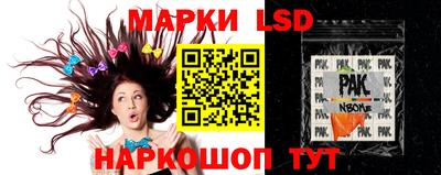 Альфа ПВП Новозыбков
