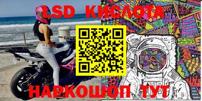 Альфа ПВП Новозыбков