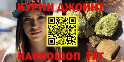 Альфа ПВП Новозыбков