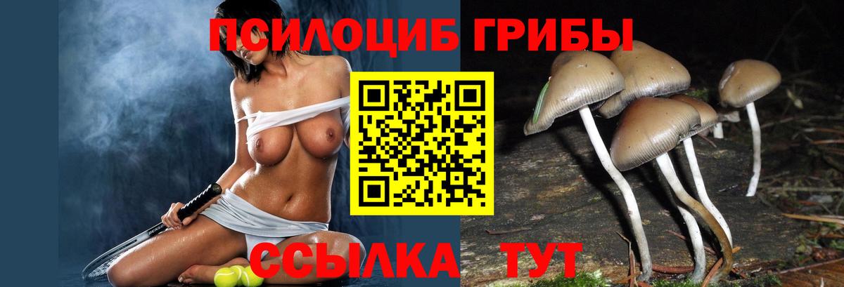 Псилоцибиновые грибы мицелий Хабаровск